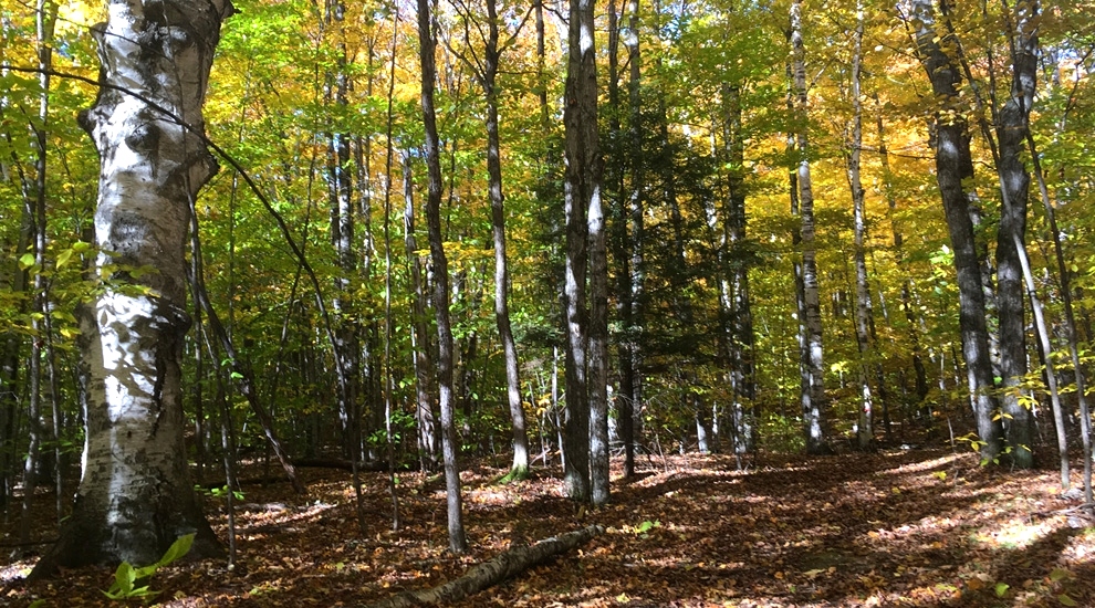 Algoma, Wisconsin Fall Vacation Algoma Wisconsin