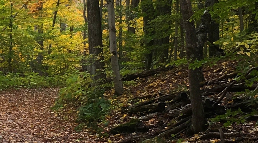 Algoma Wiisconsin In Fall Algoma Wisconsin