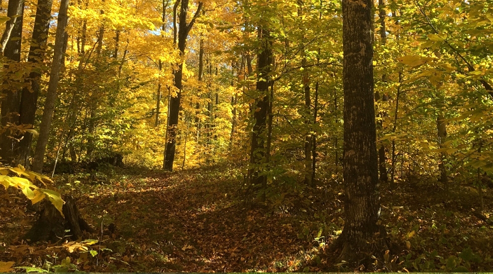Algoma Wiisconsin In Fall Algoma Wisconsin