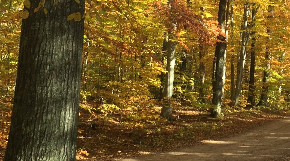 Algoma Wiisconsin In Fall Algoma Wisconsin